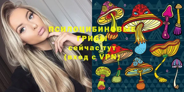 альфа пвп Инта