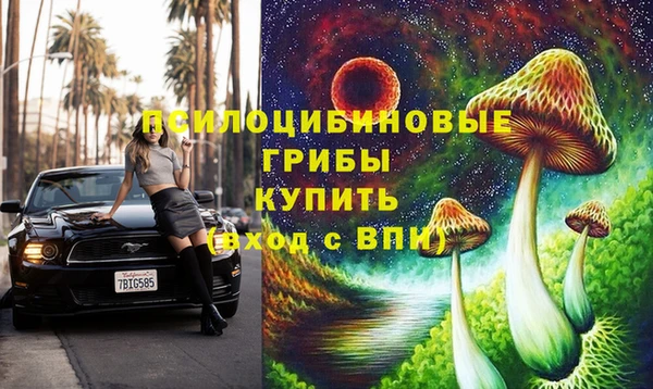 альфа пвп Инта